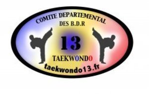 Site du Comité Départemental de TAEKWONDO 13
