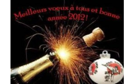 BONNE ANNÉE 2012